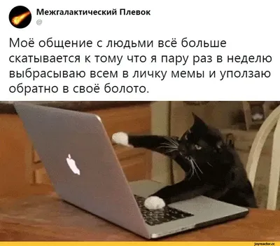 Смешные переписки с людьми, которые не понаслышке знают про чувство юмора –  Снег.TV