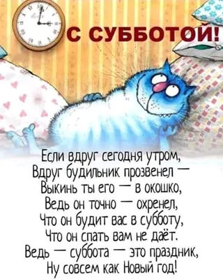Смешная открытка "Доброго утра субботы!", с ёжиком • Аудио от Путина,  голосовые, музыкальные