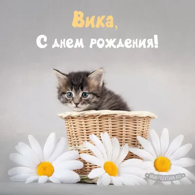 Картинка - Вика, с днем рождения! Стихотворение.