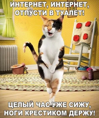 Смешные картинки с надписями от  | Екабу.ру -  развлекательный портал