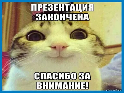 Надпись: Спасибо за сына☑ - купить в Москве с доставкой. Стоимость 2100  рублей.