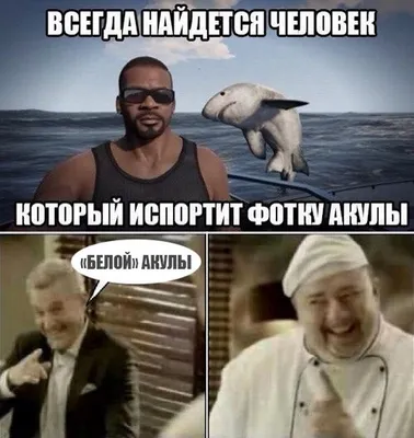 негры