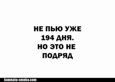 Алкаш с похмелья,веселый,милый, …» — создано в Шедевруме