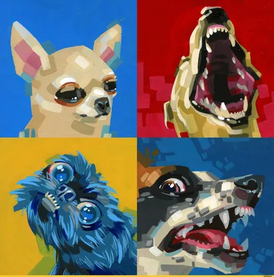Первый пин | Memes de perros graciosos, Imagenes de perros graciosos, Fotos  de animales graciosos