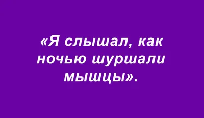 Сочинений смешные кусочки (подборка 155) | СЧАСТЬЕ и ОПТИМИЗМ | Дзен