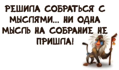 Смешные картинки с надписью про жизнь | Цитата про путешествия, Цитаты,  Правдивые цитаты