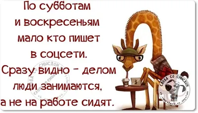 Доброе утро Суббота прикольные (Новые 38 фото) картинки смешные для  поднятия настроения - АуФФ