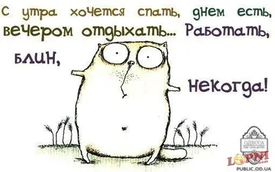 7 смешных фраз таксистов, после которых хочется выйти и пойти пешком |  Zinoink о комиксах и шутках | Дзен