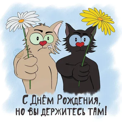 HappyFox Носки мужские с надписью прикольные смешные веселые хлопок