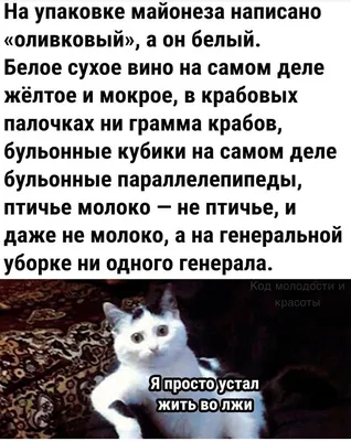 Новые картинки прикольные смешные