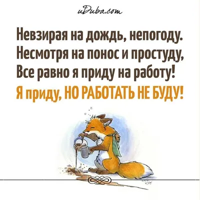 Пин от пользователя Я на доске прикольчики | Юмор о работе, Юмористические  цитаты, Смешные высказывания