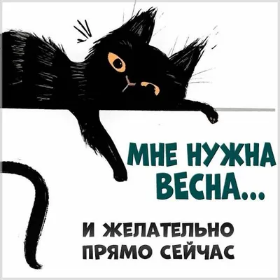 Ожидание весны в картинках, красивых фото и прикольных открытках с  надписями жду весну | Смешные открытки, Открытки, Смешные надписи