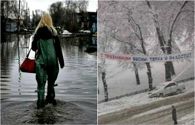 Непогода в Украине: самые смешные мемы и картинки о снегопаде