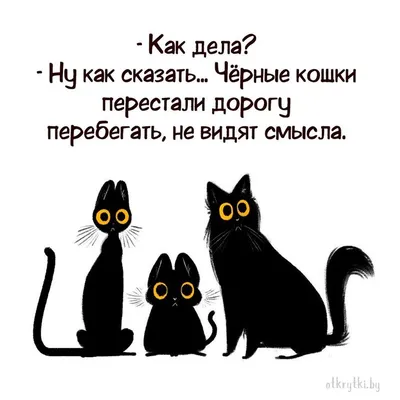 От «мяу» до «вау»: как коты покорили людей, а котомемы захватили Интернет /  Хабр