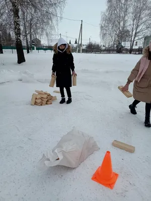 Смешные белки, которые с успехом осваивают зимние виды спорта | Веселая  панда | Дзен