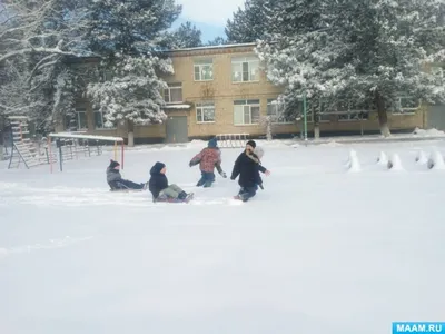 Картинки Белки Смешные Размытый фон Играет позирует Зима вдвоем