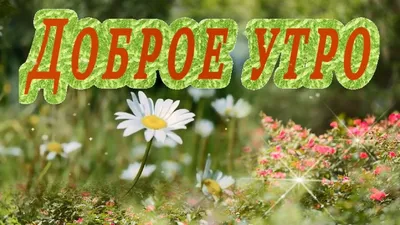 С добрым утром!Суббота!!!