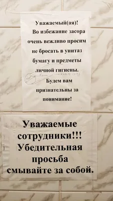 В туалете университета / туалет :: объявление :: университет / смешные  картинки и другие приколы: комиксы, гиф анимация, видео, лучший  интеллектуальный юмор.