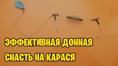 Ловля карася весной на фидер в стоячей воде и на течении: когда начинается  клев на пруду и реке