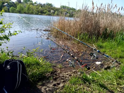 Сверхтонкие поплавки для зимней рыбалки, короткие снасти для ловли карася,  новый буй, аксессуары для зимней рыбалки – лучшие товары в онлайн-магазине  Джум Гик