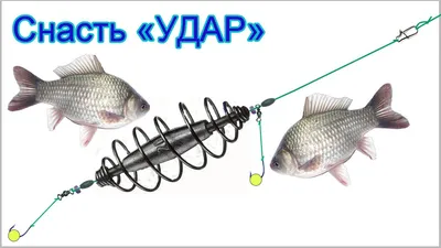 Донная снасть убийца карася | снасть на карася и карпа | донка для рыбалки  | рыбалка 2020 | Рыбалка и самоделки для рыбалки | Дзен