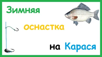 Ловля карася на донку весной