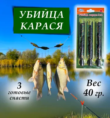 Купить снасть "Убийца карася" в интернет-магазине Briz-Fish