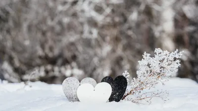 Снежная любовь, сердце из снега, …» — создано в Шедевруме