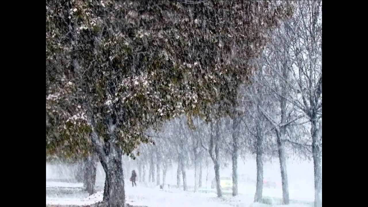 Песни хороводит снег с дождем