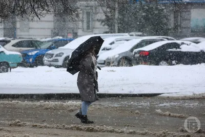 В Ярославле ждут мокрый снег с дождем |  | Ярославль - БезФормата