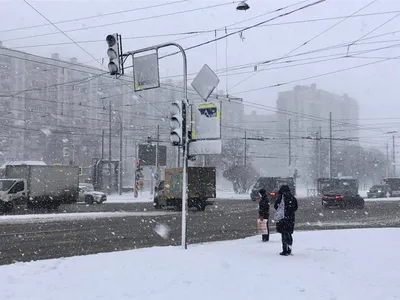 Снег с дождем обрушится на три дня на Владивосток: дата | Приморский край |  ФедералПресс