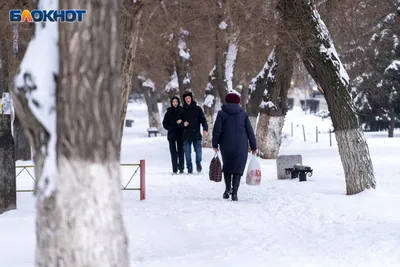 Снег, дождь и дождь со снегом». Названа дата комплексного удара стихии