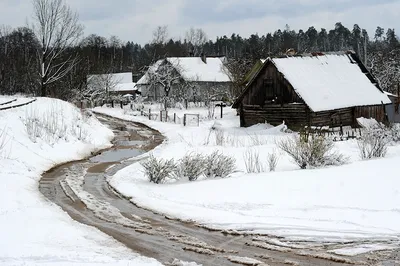 Снег в апреле. 22 волшебных фото | Новости Беларуси | 
