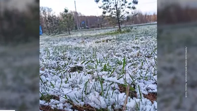 UzNews - Снег в апреле выпал впервые за 6 лет — Узгидромет