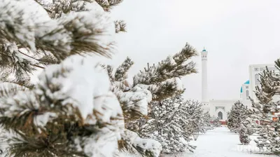 Зима в апреле: в поселке Тарутино неожиданно выпал снег (фотофакт) -  Бессарабия INFORM