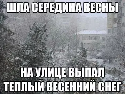 фото) Снегопад в апреле: Вспоминаем, как стихия накрыла Молдову 20 и 21  апреля 2017 года - #diez на русском