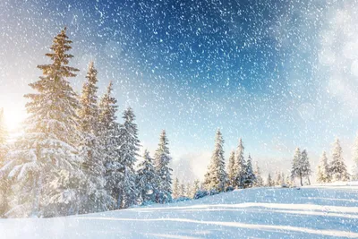 Белый снег - фото и картинки: 57 штук