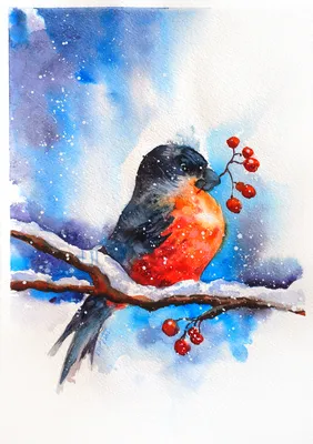 снегирь на ветке рябины фото — Рамблер/картинки | Watercolor art lessons,  Bird watercolor paintings, Bird artwork