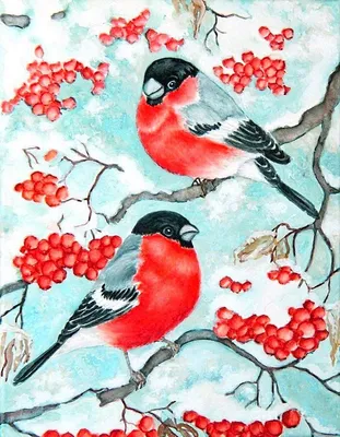 снегирь на ветке рябины фото — Рамблер/картинки | Bird artwork, Bird  watercolor paintings, Watercolor art lessons