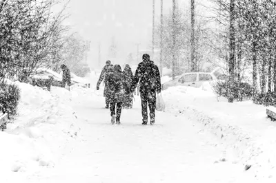 Сколько в Москве выпало снега