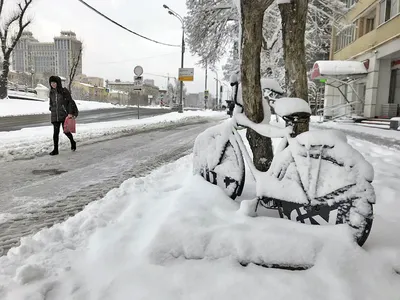 Белым-бело: что нужно знать об уборке снега в Москве - Недвижимость РИА  Новости, 