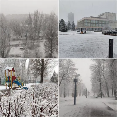 Снегопад в Санкт-Петербурге  года: фото, видео - 