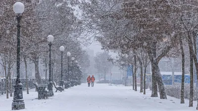 Днепр окутал "пушистый" снегопад: сказочные фото города - Днепр