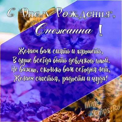 Открытки «Снежана, С Днём Рождения»: 50 картинок