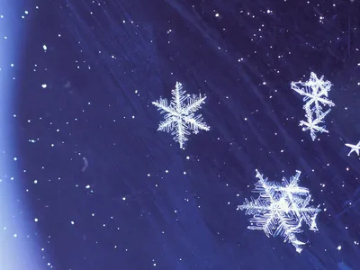 Счастье Нового года Объемные снежинки (А4 набор для вырезания 20 листов в  европодвесе) (10 маленьких) купить в интернет-магазине | 978-5-04-103743-7  | Эксмо