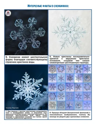 Цветные снежинки картинки: подборка красочных иллюстраций для оформления и  творчества - Ноэмия.Ру