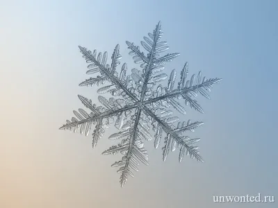 Красивые снежинки на фото Алексея Клятова - 