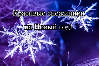 Уникальные снежинки ❄ из бумаги на Новый год! | SOFT BLOG ▾ | Дзен