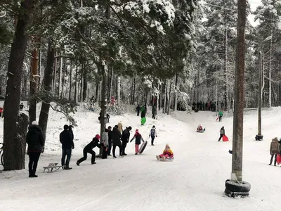 Хоть и с бородой, но в душе молодой... Снежная горка — Рождественские  традиции русской Сибирской деревни | Деревенское Хозяйство Устиновых | Дзен