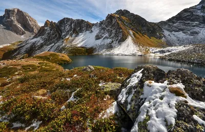 Снежное осеннее утро